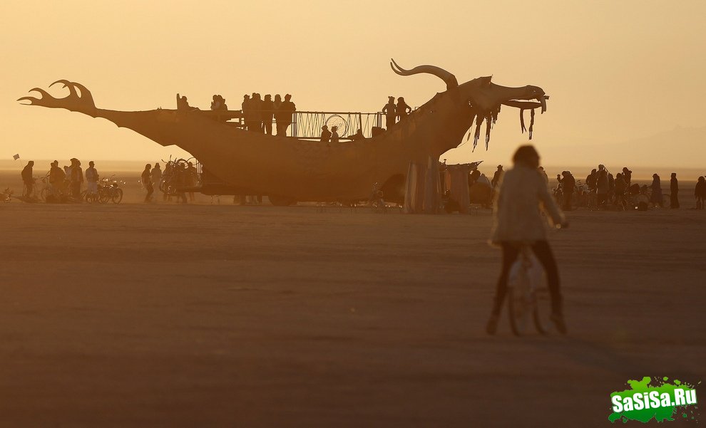  Burning Man 2012 (22 )