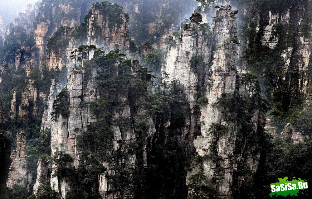    Thierry Bornier (22 )