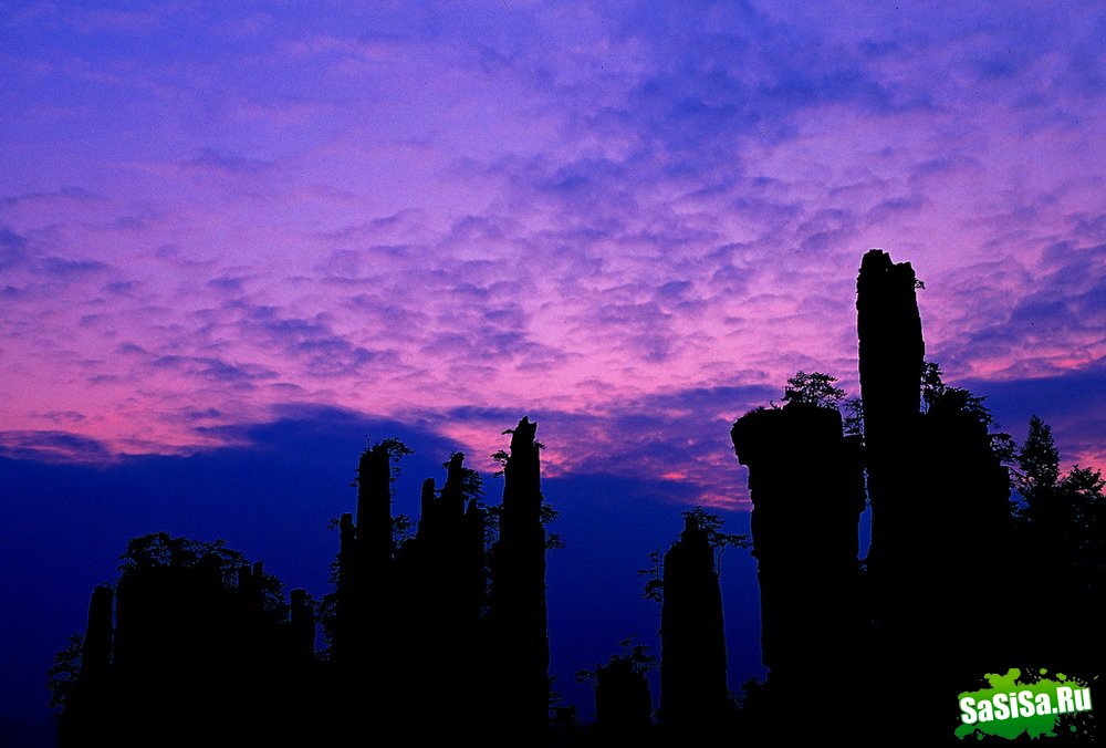    Thierry Bornier (22 )