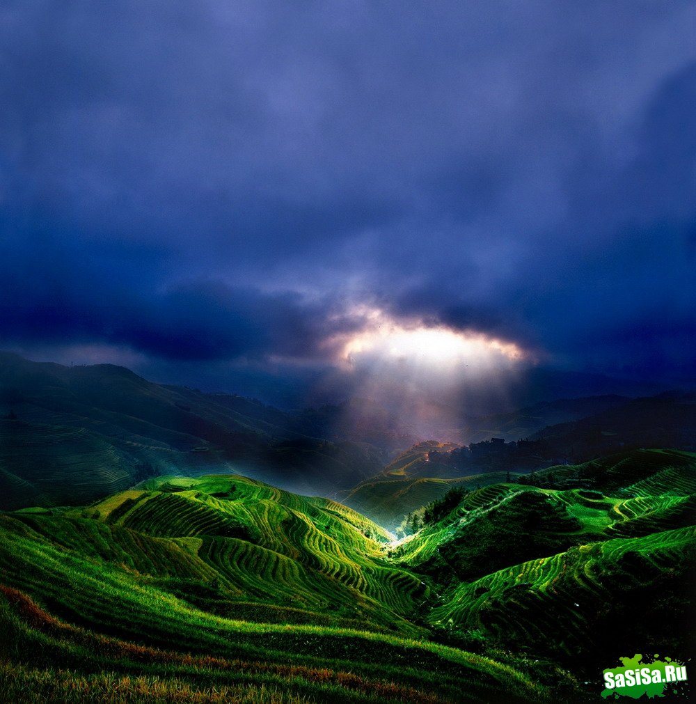    Thierry Bornier (22 )