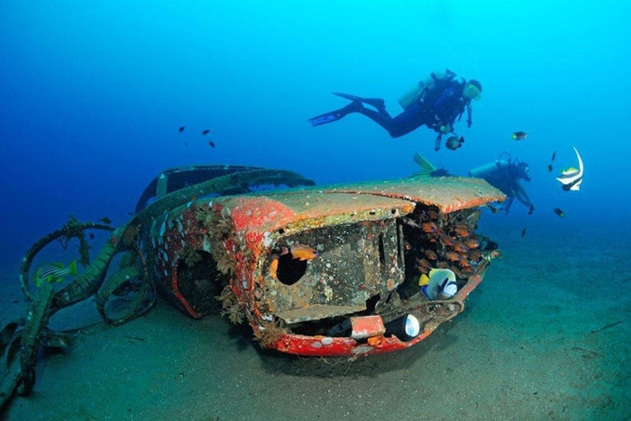 Коралловые рифы из старых авто (26 фото)