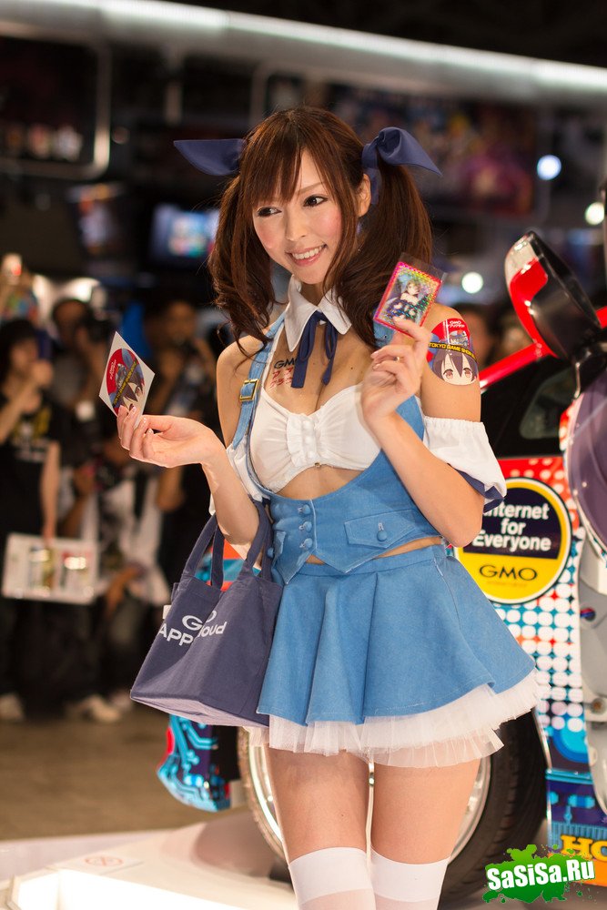   Tokyo Game Show 2012 (20 )