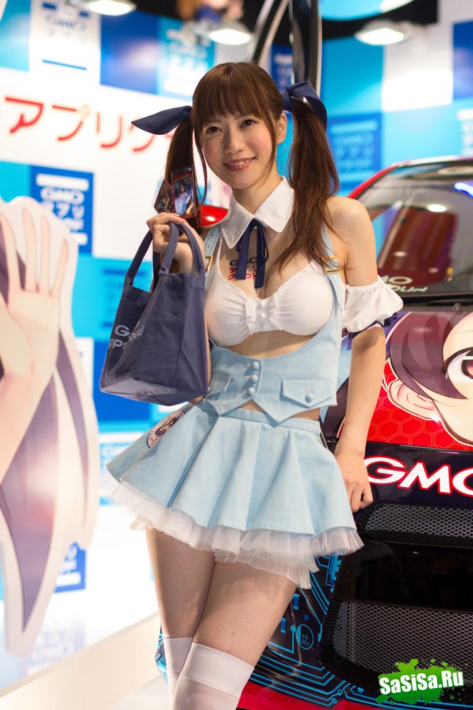   Tokyo Game Show 2012 (20 )