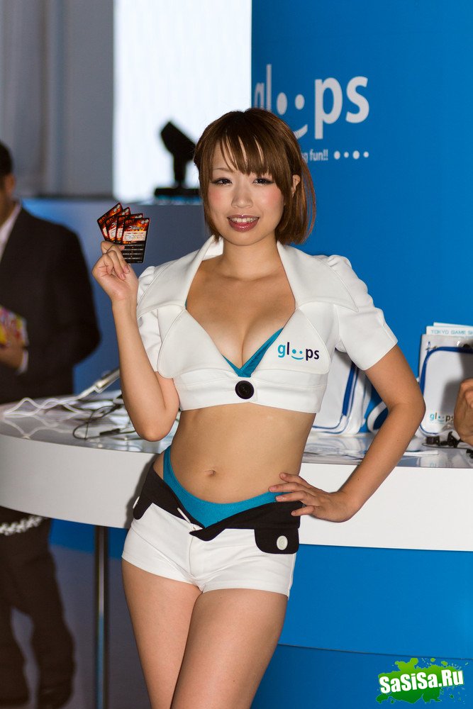   Tokyo Game Show 2012 (20 )