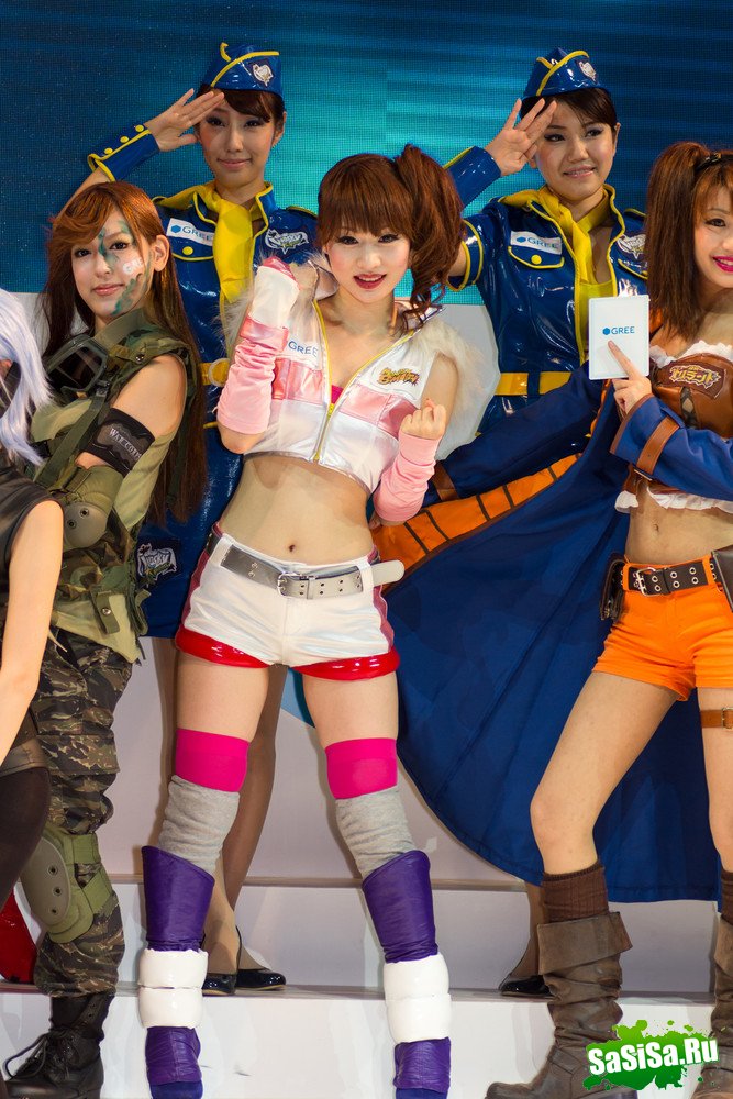   Tokyo Game Show 2012 (20 )