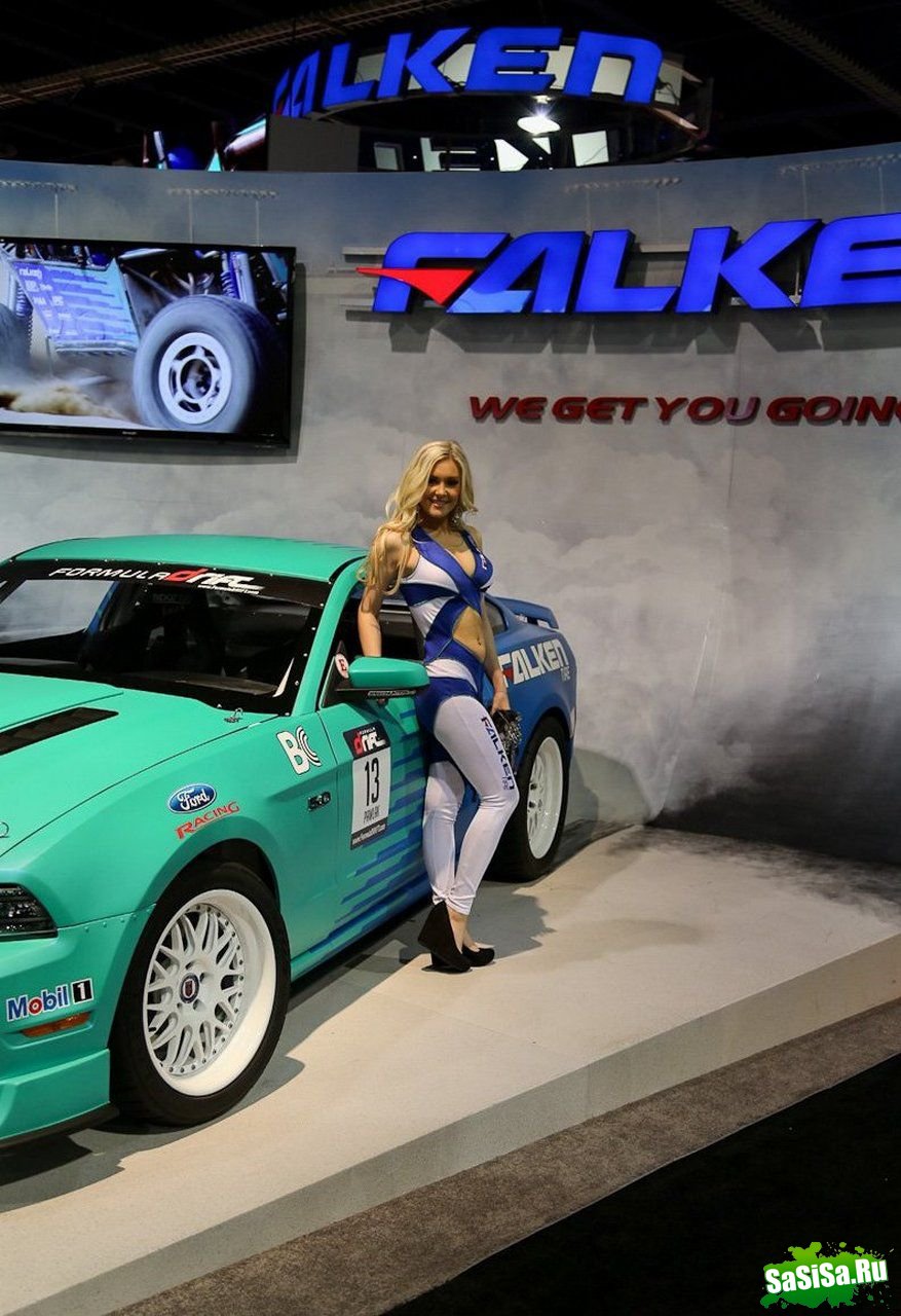     SEMA 2012 (21 )