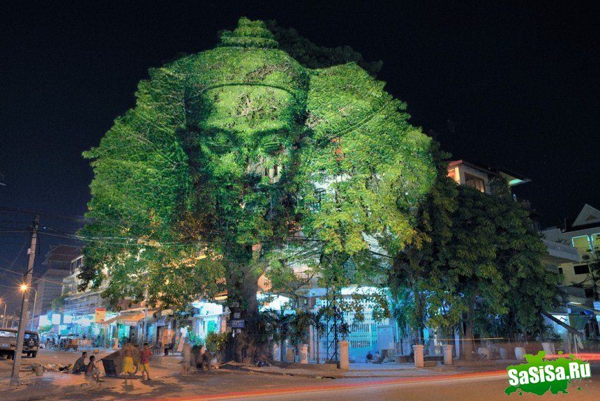 Культовые проекции на деревья в Камбодже (8 фото)