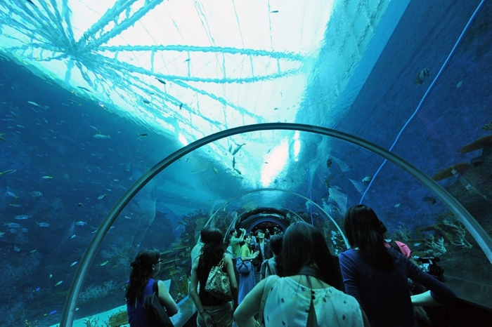 В Сингапуре открывается самый большой в мире океанариум (6 фото + видео)