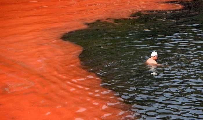 У побережья Сиднея вода приобрела устрашающий кроваво-алый оттенок (4 фото)