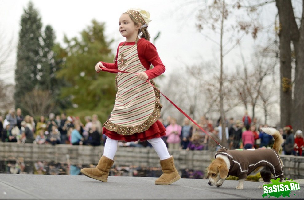 Reindog Parade 2012:      (9 )