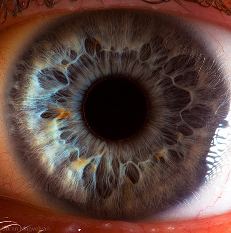 Удивительные макрофотографии человеческих глаз (17 фото)