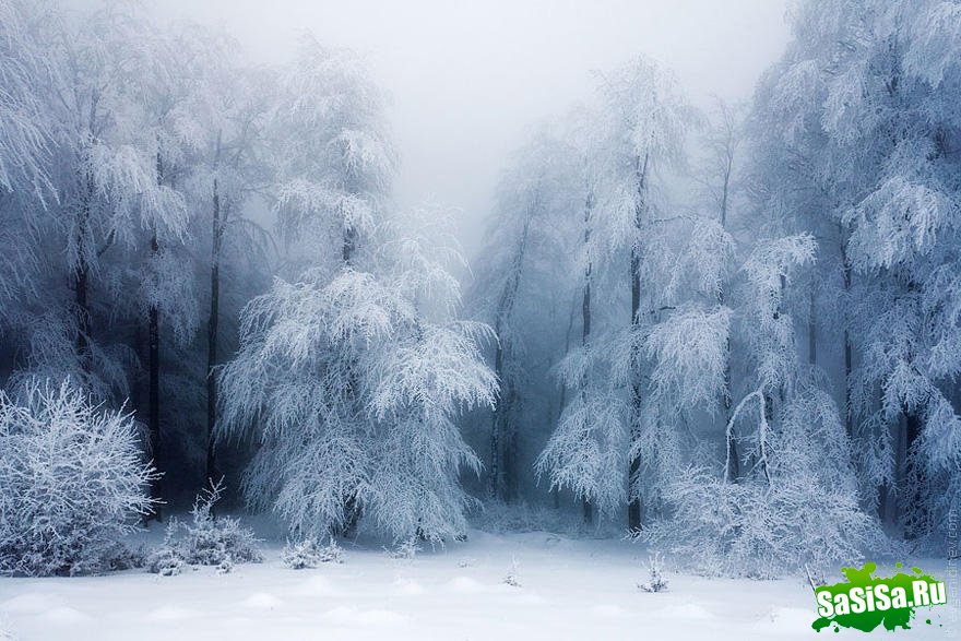 Волшебные снежные пейзажи (18 фото)