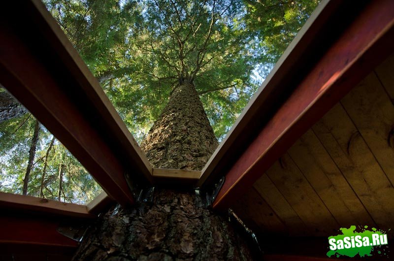 Хемлофт - секретный дом на дереве (14 фото)
