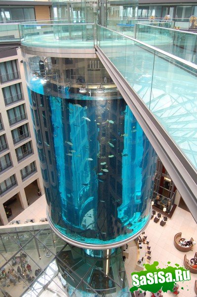 Гигантский аквариум в отеле Radisson Blu (13 фото)