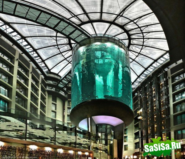 Гигантский аквариум в отеле Radisson Blu (13 фото)