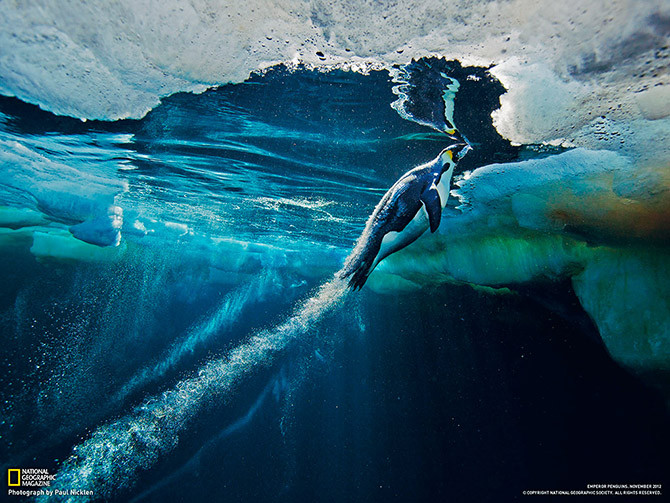   National Geographic   2013 (23 )
