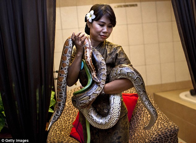 Змеиный массаж в индонезийском спа-центре (8 фото)