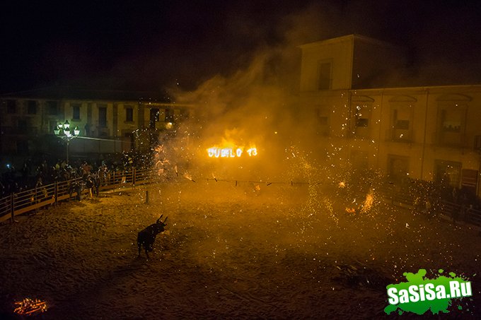  :Toro de Jubilo (7 )