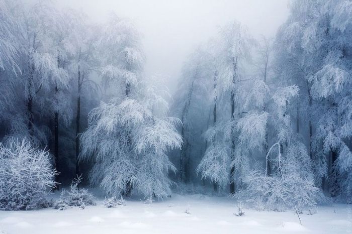 Восхитительные зимние пейзажи (18 фото)