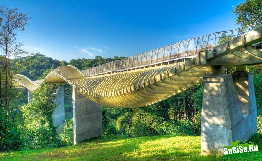 Самый волнистый мост в мире (8 фото)