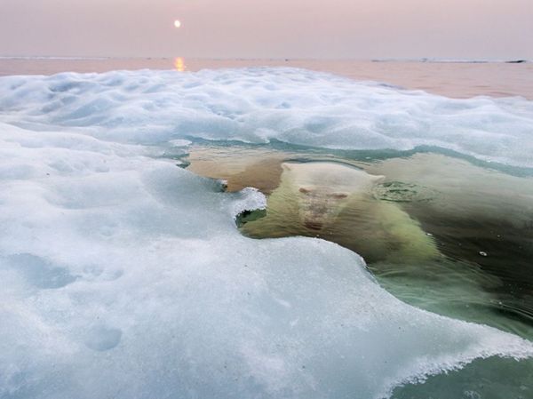 Лучшие фотографии National Geographic за январь, 2014 (27 фото)