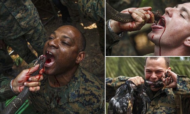 В Тайланде учат солдат из разных стран есть змей (9 фото)