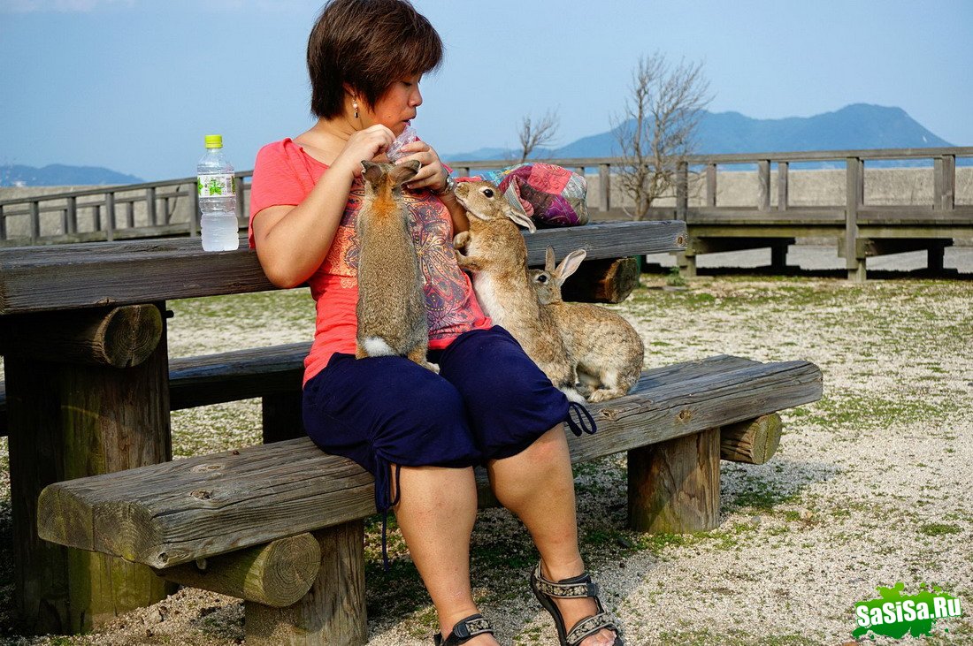 Okunoshima -     (13 )