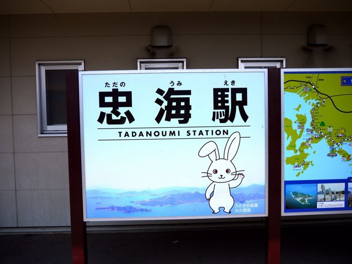 Okunoshima - остров кроликов в Японии (13 фото)