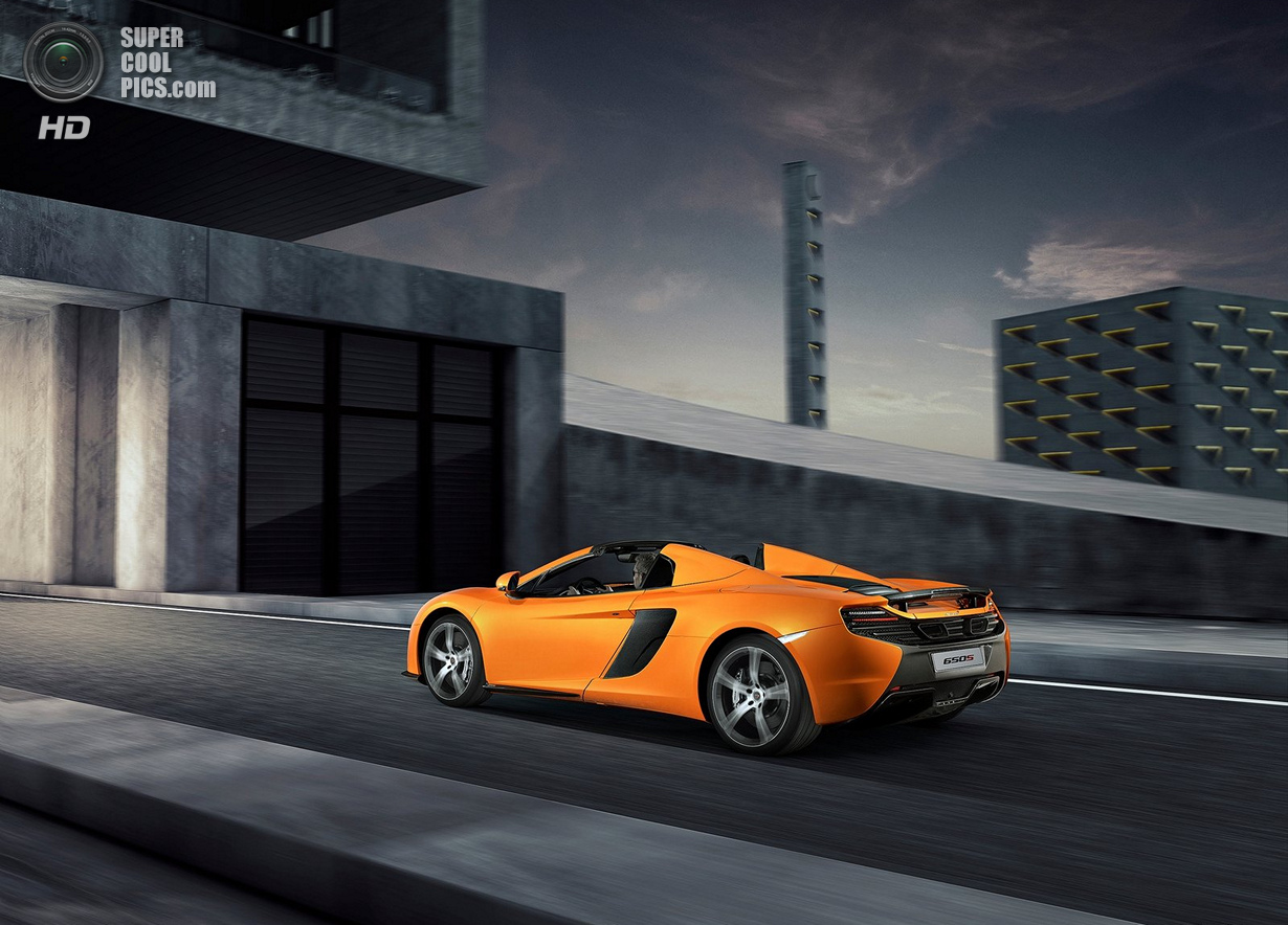 McLaren 650S   Spider (7 )