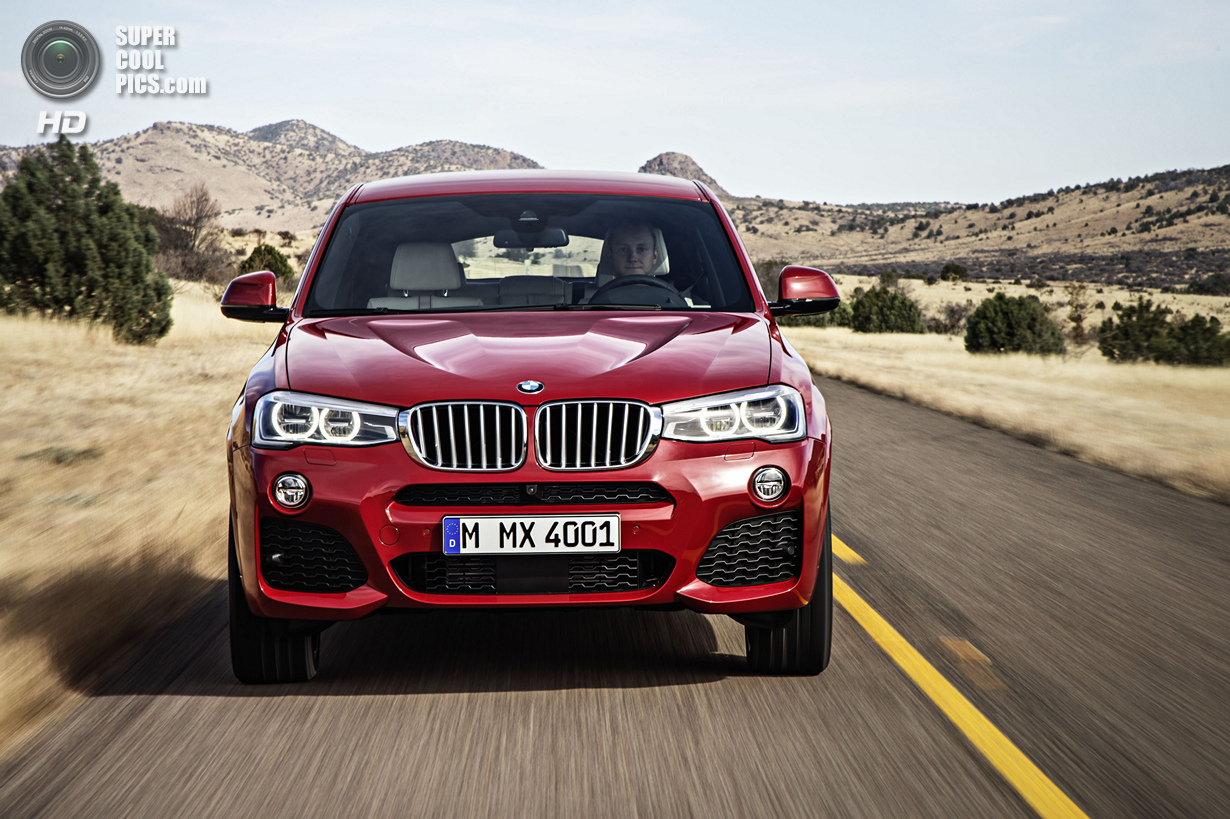   BMW X3  X6 (15 )