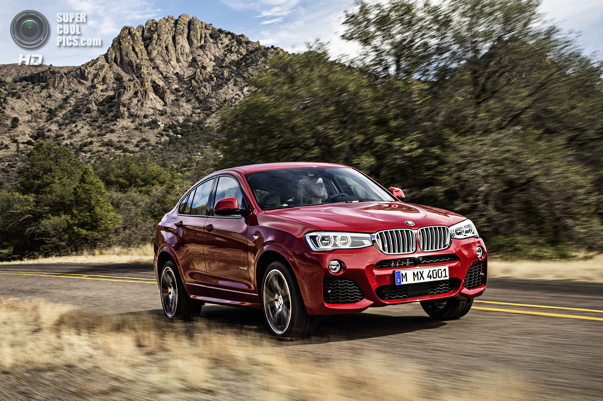   BMW X3  X6 (15 )