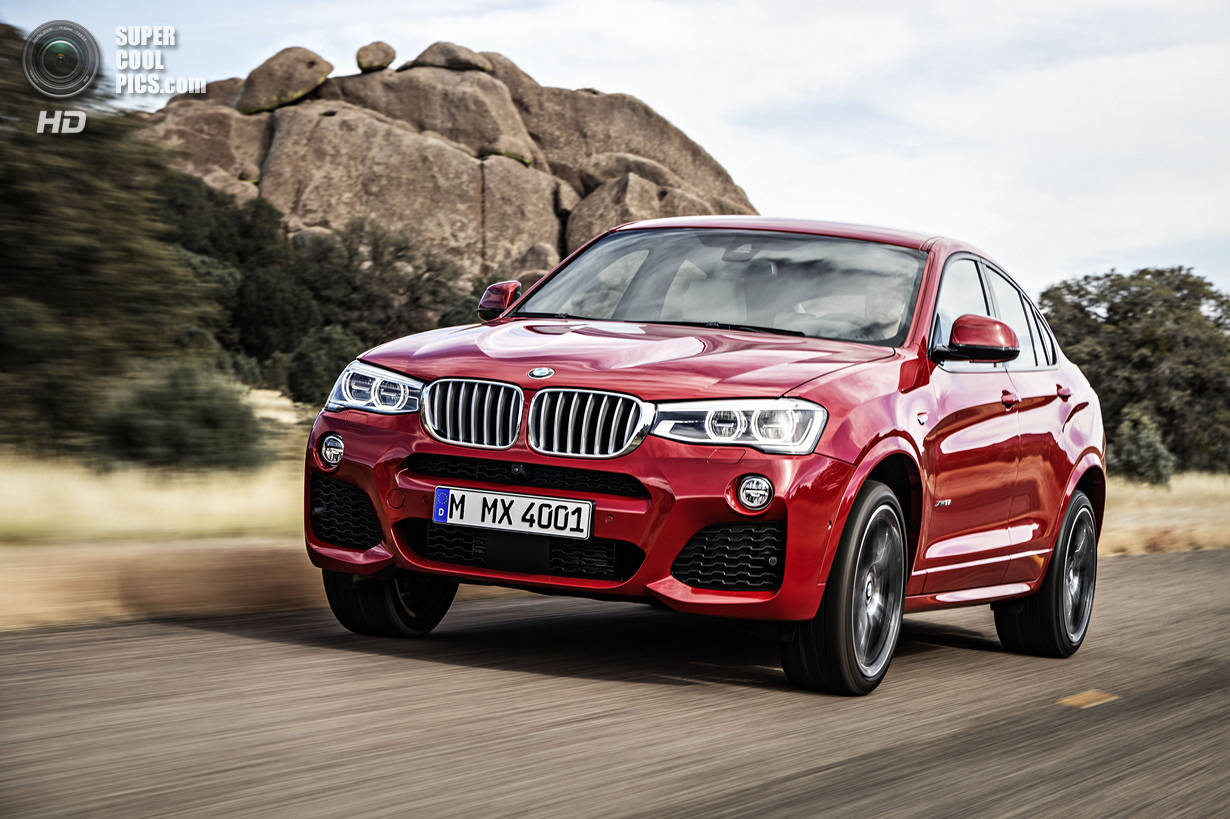   BMW X3  X6 (15 )