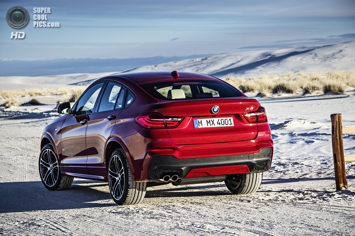   BMW X3  X6 (15 )