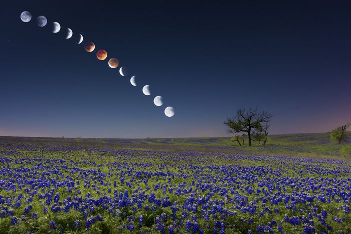 Кровавая Луна (10 фото)