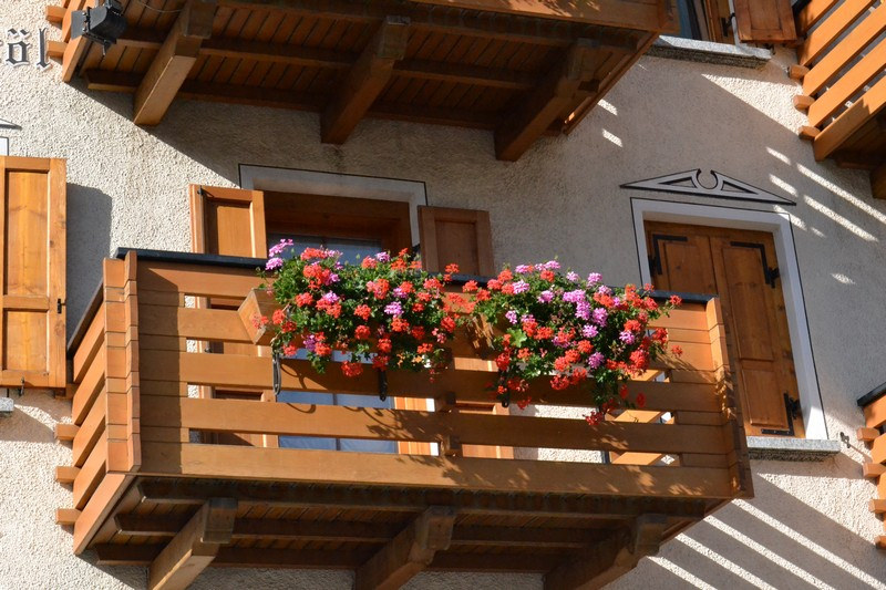     (Livigno),  (29 )