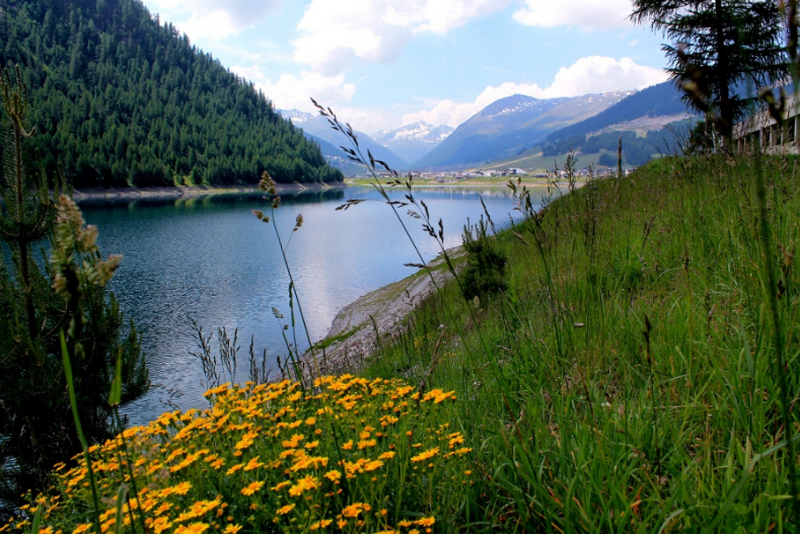     (Livigno),  (29 )