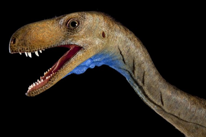 10 недавно открытых динозавров (10 фото)