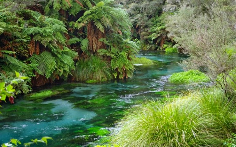 Вайху, сказочная река в Новой Зеландии (6 фото)