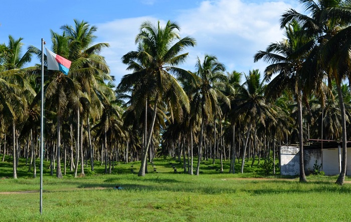 Фабрика по производству кокосового масла (13 фото)