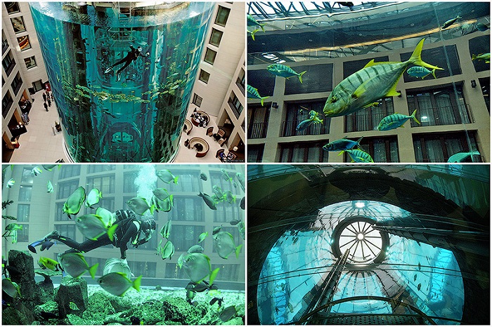 Aquadom — огромный аквариум в отеле Radisson Blu (14 фото)