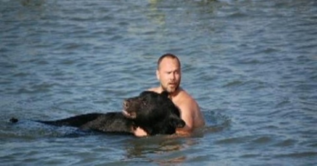 История человека, который рискнул своей жизнью ради тонувшего медведя (15 фото)