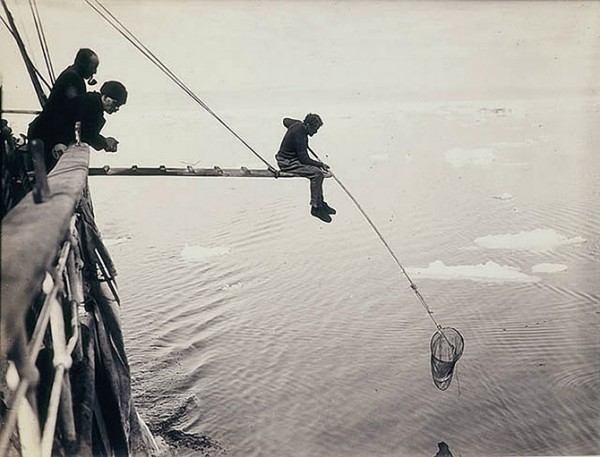 Самые впечатляющие фотографии Антарктиды начала 20 века (16 фото)