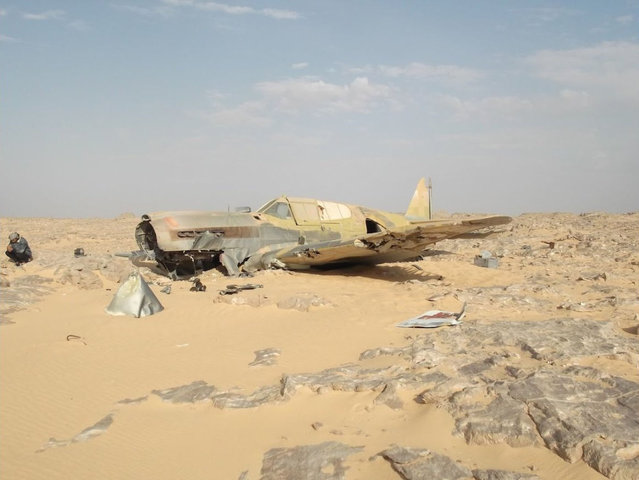 Неожиданная находка в Сахаре (14 фото)