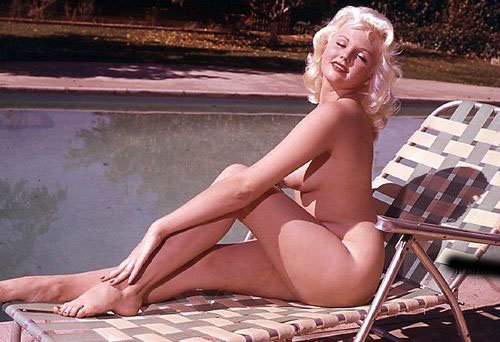  Playboy 1960-  (30 )