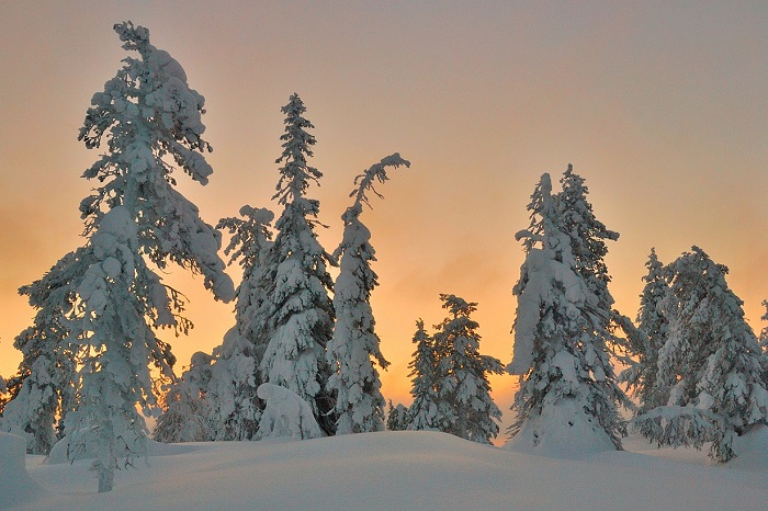 Национальный парк Оуланка. Красота северной Финляндии (11 фото)
