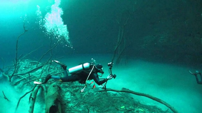 Сенот Анжелита. Мистическая подводная река в Мексике (5 фото)
