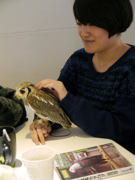 The Owl Cafe -      (12 )