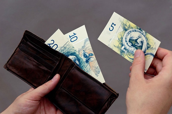 Невероятные банкноты евро, какими они могли бы быть (11 фото)