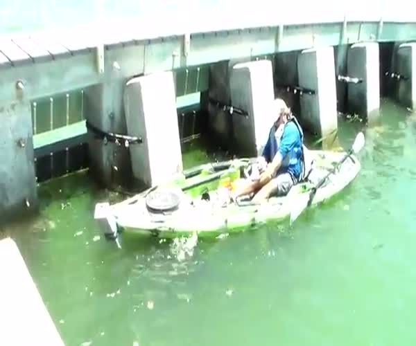 Рыбак поймал крупную рыбу (видео под катом)