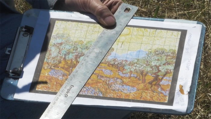Ландшафтный дизайнер из США превратил поле в репродукцию картины Винсента Ван Гога (4 фото + видео)